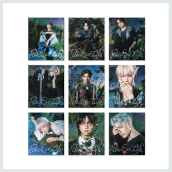 &TEAM - KR 1st Mini Album - Back to Life [ROAR] (Random)